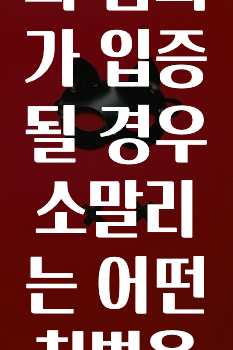 딥페이크 성범죄 혐의가 입증될 경우 소말리는 어떤 처벌을 받나요?