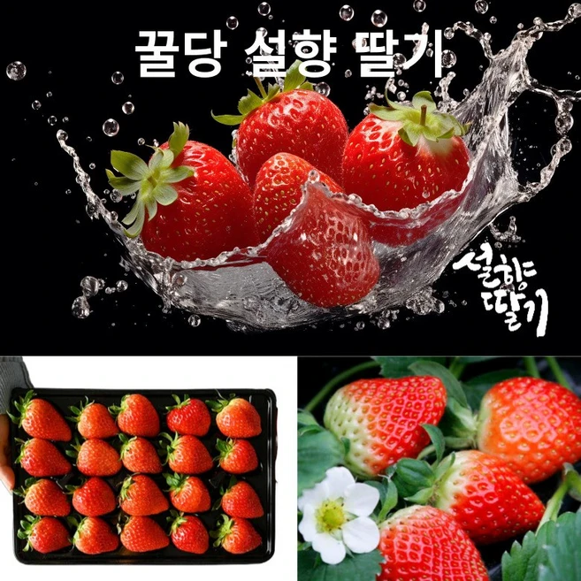 딸기