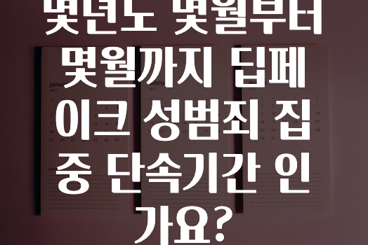 몇년도 몇월부터 몇월까지 딥페이크 성범죄 집중 단속기간 인가요?
