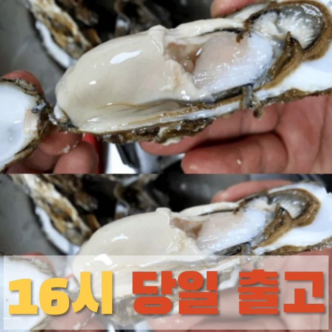 석화