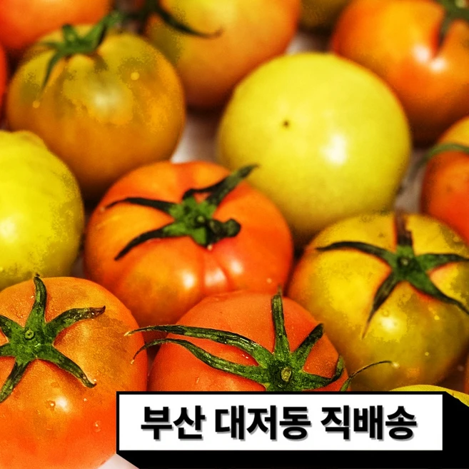 토마토