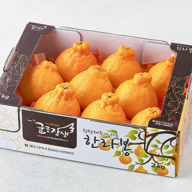 한라봉
