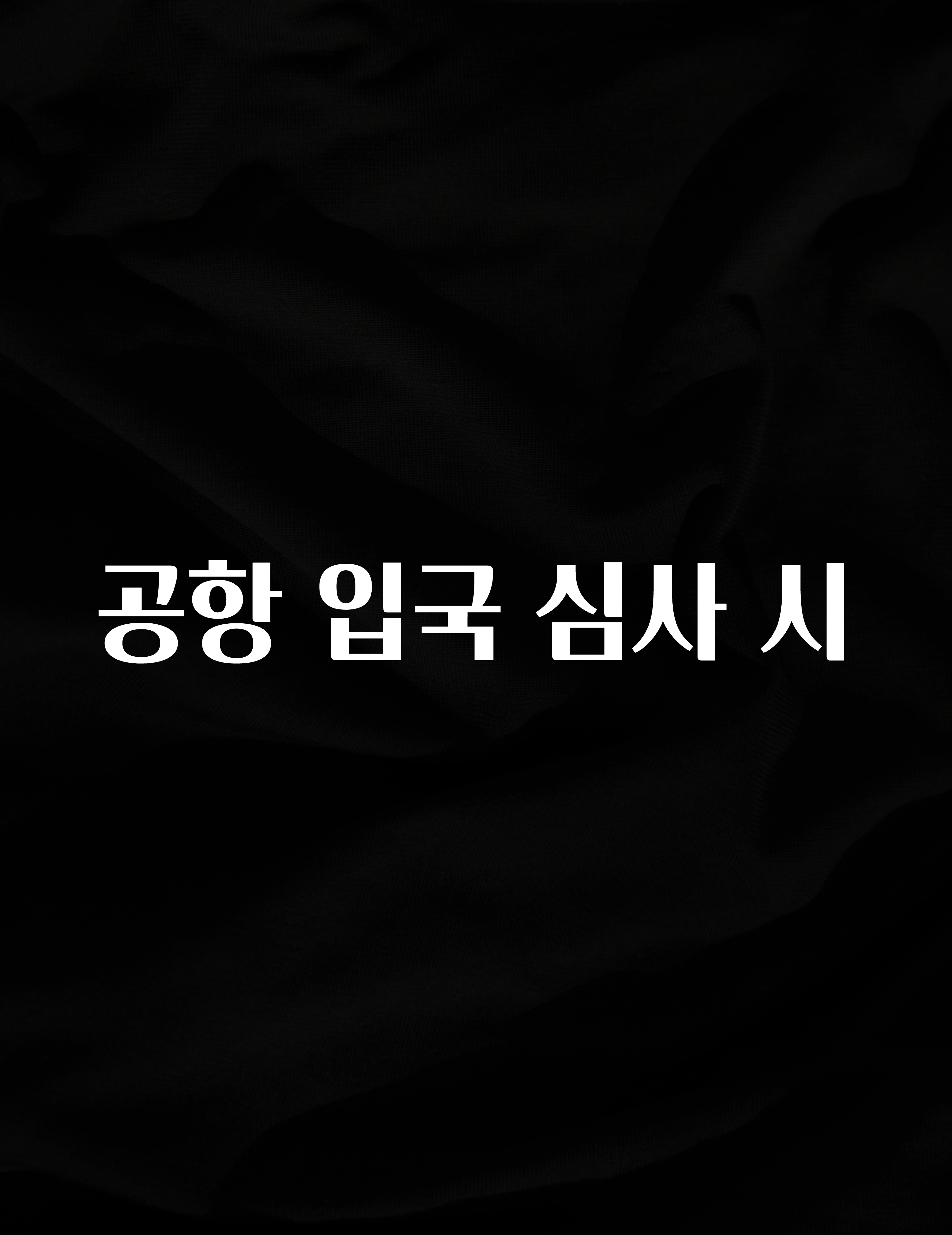 공항 입국 심사 시