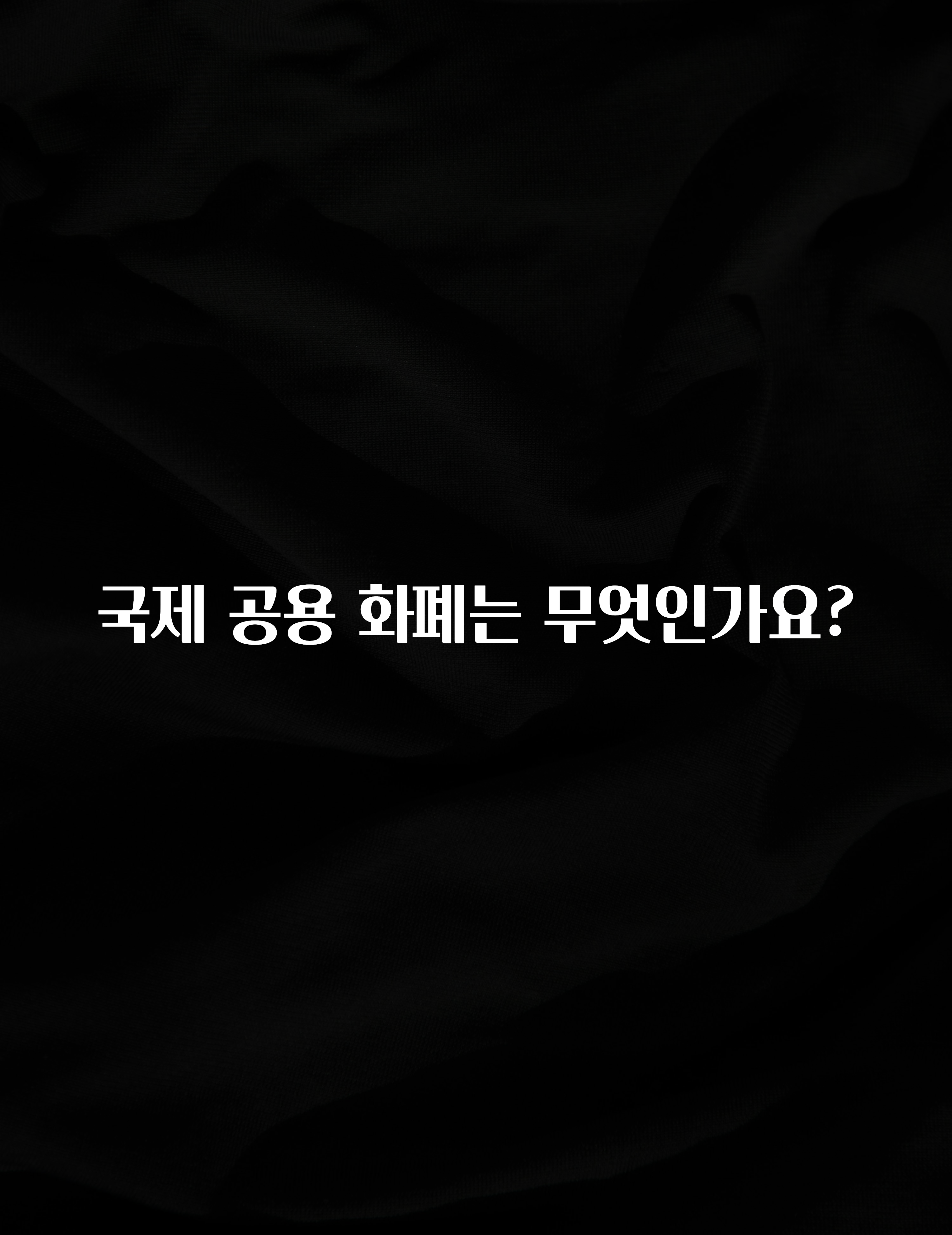 국제 공용 화폐는 무엇인가요?