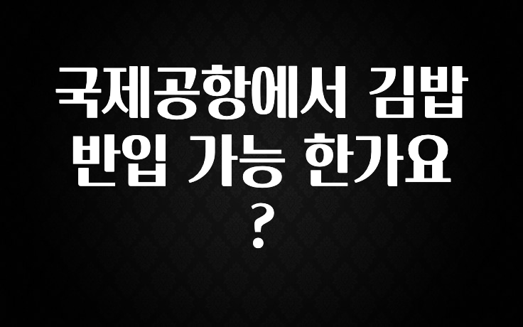 국제공항에서 김밥 반입 가능 한가요?