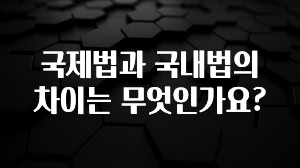 국제법과 국내법의 차이는 무엇인가요?