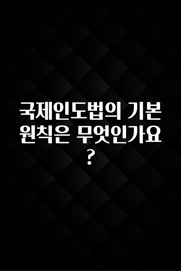 국제인도법의 기본원칙은 무엇인가요?