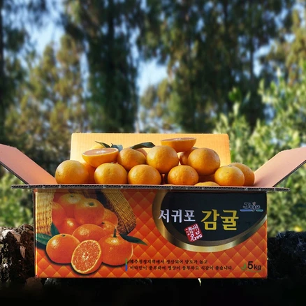 귤