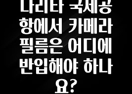나리타 국제공항에서 카메라 필름은 어디에 반입해야 하나요?