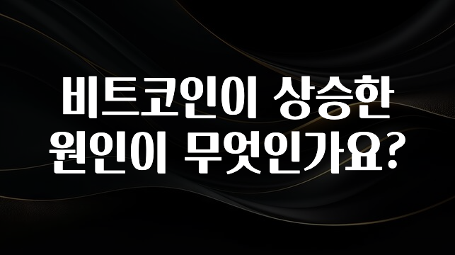 비트코인이 상승한 원인이 무엇인가요?