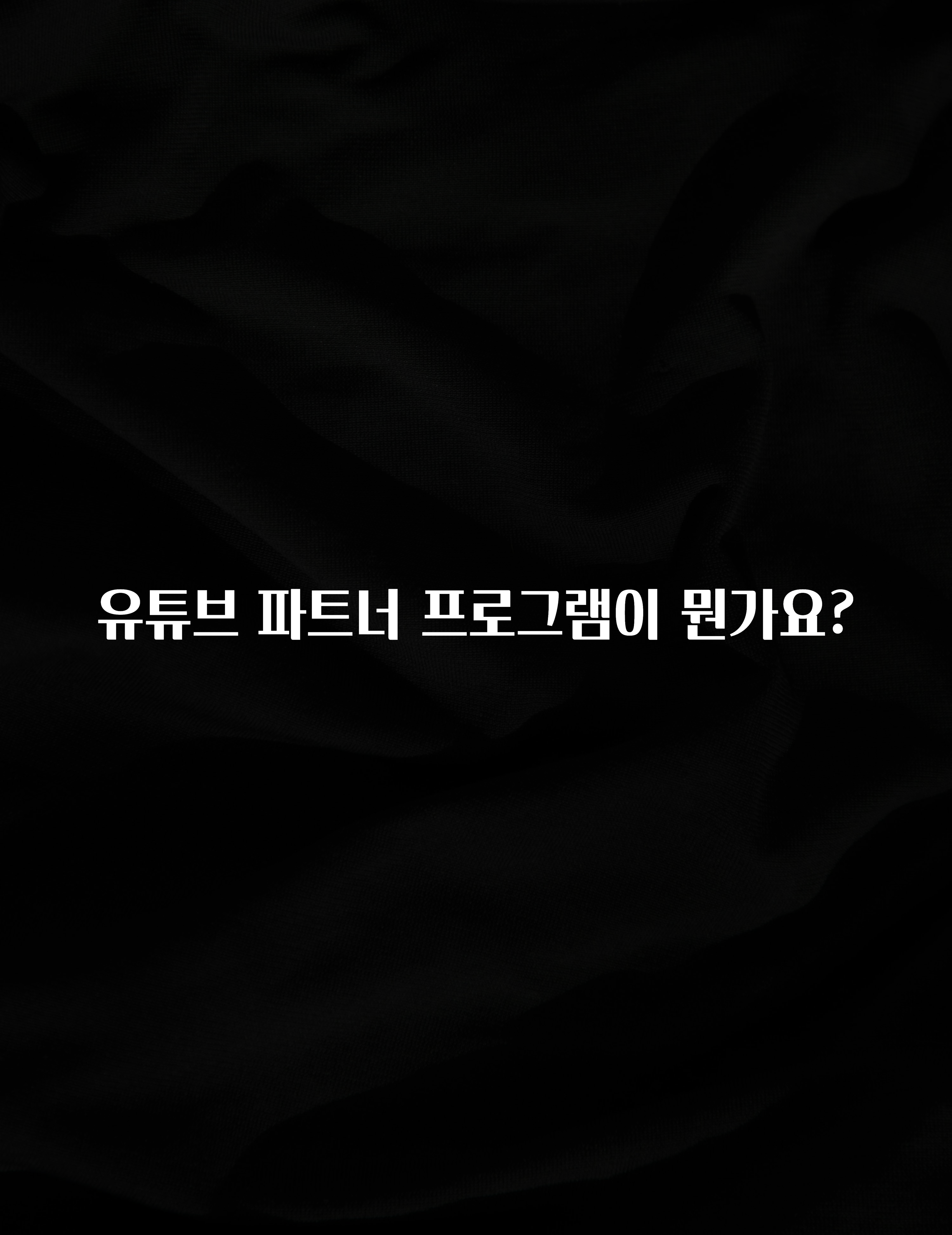 유튜브 파트너 프로그램이 뭔가요?