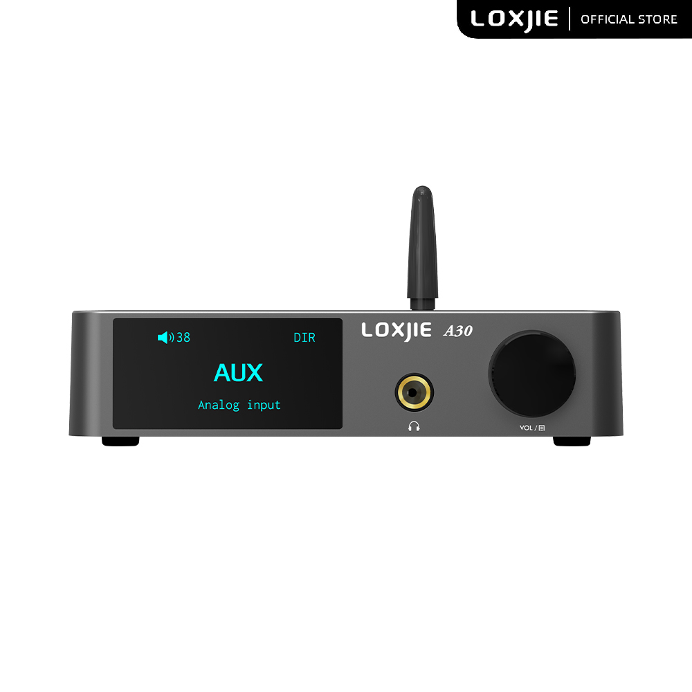 LOXJIE A30 데스크탑 스테레오 오디오 파워 앰프