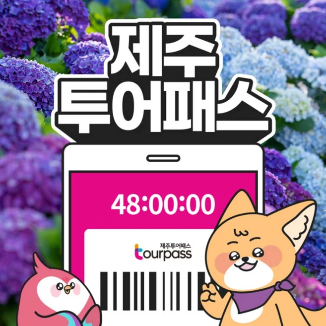 제주올패스
